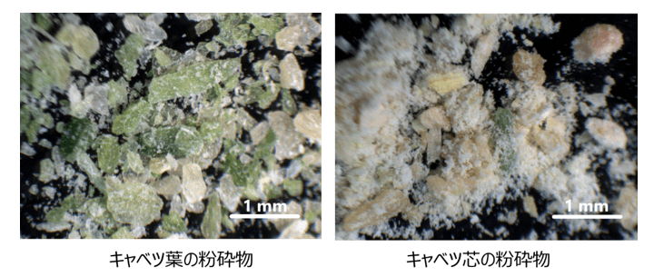 キャベツの葉と芯の粉砕物　出展：農研機構